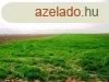 Mezgazdasgi fldterlet elad - Szkesfehrvr