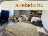 Elad hz, Kecskemt