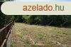 Kzponti helyen tbb funkcival br lakingatlan. - Szabadb