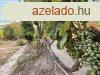 Feljtand, de stabil paraszthz Poroszln!