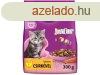 Whiskas Cat szraz 300g Junior Csirke