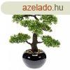 Emerald zld mini fikusz bonsai mnvny 47 cm