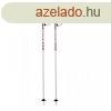 BLIZZARD-Race junior ski poles Fehr 80 cm 2021