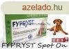 Fypryst Spot On 10-20kg 1,34ml Ampulla kullancs s bolha ell