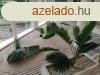 Szllodai apartmanok Sifokon, pr szz mterre a Balatontl