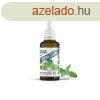 Stevia csepp 50ml