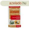 NATURLAND PROPOLISZ+C-VIT.SZOP.TABL.60DB