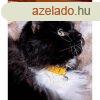 LUPINE macska nyakrv (ECO Sunshine 1,25 cm szles CAT 21-30