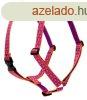 Lupine Roman hm (Alpen Glow 2,5 cm szles 61-96 cm)