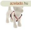 Lupine Roman hm (Spring Blush 1,25 cm szles 23-35 cm)