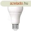 Avide ABG27CW-13W-AP led globe izz a60 13w e27 cw 6400k