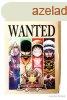 One Piece - Wanted jelleg anime francia krtya