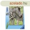 Ravensburger Puzzle 300 db - Zebrk