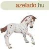 Papo Appaloosa csik 51510
