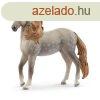 Schleich Andalz Csdr