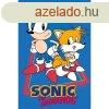 Sonic a sndiszn Tails kztrl arctrl, trlkz 30x50cm