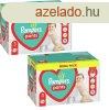 Pampers Pants 3 Midi Giga Pack 256 db kakibakimentes bugyipe
