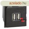 Bticino Living Now USB tlt, 2modul, Bticino K4285C2