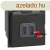 Bticino Living Now USB tlt, 2modul, Bticino K4286C2
