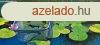 Professzionlis thl