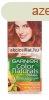 Garnier Color Naturals krmhajfestk 7.40 rzki rzvrs