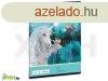 Ars Una: Stardust vonalas fzet - A5, 4. osztlytl