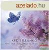 Kvi Szabolcs - Kk pillang CD - Szab Sipos Barnabssal s