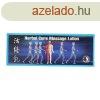 DR.CHEN HERBAL CURE MASSZZSKRM