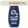 Schauma sampon 400ml Hamvas csillogs
