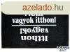 Vicces lbtrl, Nem vagyok itthon - itthon vagyok