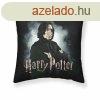 Prnahuzat Harry Potter Severus Snape Fekete Tbbszn 50 x 