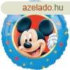 Disney Mickey flia lufi