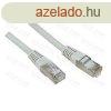 ROLINE Patch kbel, UTP, CAT5e, STP/FTP, 1m, szrke