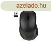Egr optikai vezetk nlkli SPEEDLINK Kappa fekete