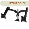 Arctic Z2-3D Gen 3 Desk Mount Gas Spring Dual Monitor Arm Bl