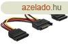 DeLock SATA (15 ts) ? 2 db SATA HDD (egyenes) hlzati kbe
