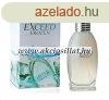 New Brand Exceed Frozen Men EDT 100ml / Christian Dior Fahre