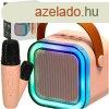 Mini bluetooth karaoke kszlet 2 mikrofonnal - rzsaszn