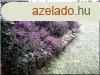 0,5 mteres tmfal
