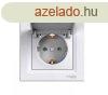 Schneider Asfora aljzat (dugalj) 2P+F, csapfedeles, komplett