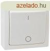 Falon kvli ktplus kapcsol 10AX/250VAC, IP20 (102)