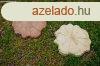 Fatrzs kerti tipeg - homok