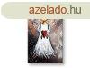 Kzzel festett kp ANGYAL   (Kzzel festett kpek AMELIE)
