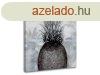 Vszonkp ANANSZ   (Vszonkp kollekci LIPA)