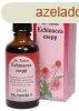 Dr.theiss echinacea cseppek 50 ml