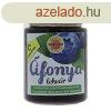 DIA-WELLNESS LEKVR FONYA