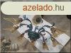 Kolarz nyolckar csillr
