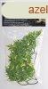 Zoo Med Large Bolivian Croton terrriumi mnvny