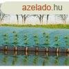 Beltsgtl hl Nature Zld polipropiln 1 x 10 m MOST 274