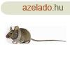 Erzsbet-korabeli nyakrv rgcslknak KVP tltsz 7.5-10 c